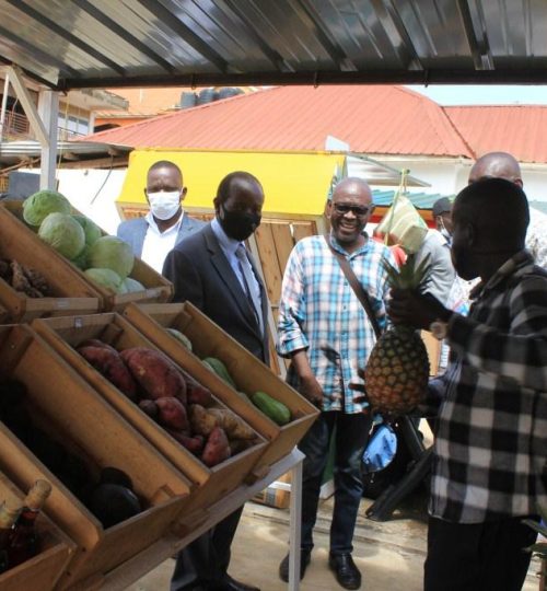 ce33f3f0-da5b-41cf-8f80-a58a00f34a4c